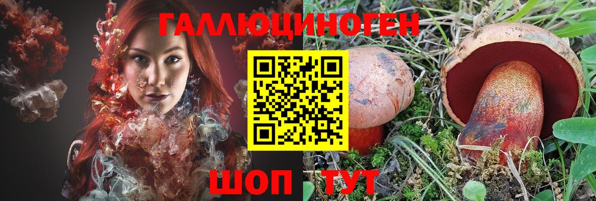 Псилоцибиновые грибы Cubensis  Вход с VPN  Моздок 